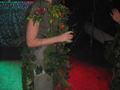 jungle_party_023.png